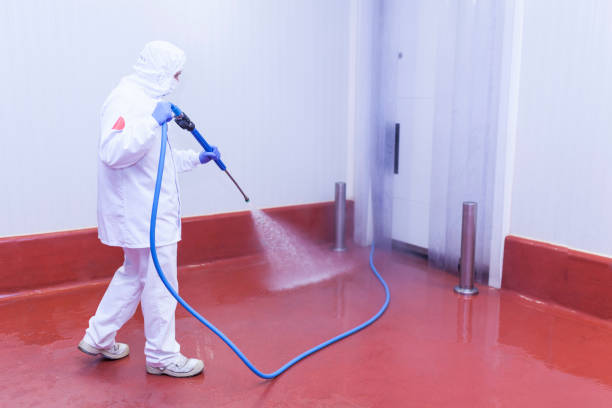 Best Playground Equipment Cleaning  in Hewlett Harbor, NY