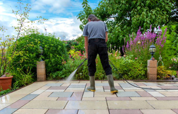 Best Driveway Pressure Washing  in Hewlett Harbor, NY